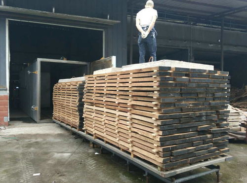 山东真空木材烘干设备厂家精心打造